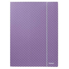 ESSELTE Gumis mappa, karton, A4, ESSELTE "Colour`Breeze", levendula mappa