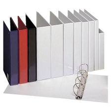 ESSELTE Gyűrűs könyv, panorámás, 4 gyűrű, 25 mm, A4, PP, ESSELTE, fehér mappa