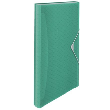 ESSELTE Harmonikamappa, a4, pp, 6 rekeszes, esselte "colour`breeze", zöld mappa