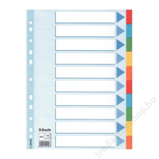 ESSELTE Regiszter, karton, A4, 10 részes, írható előlappal, ESSELTE "Standard", színes regiszter és tartozékai