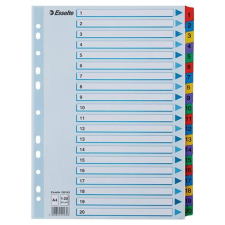 ESSELTE Regiszter, karton, A4, 1-20, ESSELTE "Mylar" regiszter és tartozékai