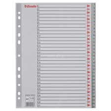 ESSELTE Regiszter, műanyag, A4, 1-31, ESSELTE, szürke regiszter és tartozékai
