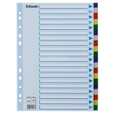 ESSELTE Regiszter, műanyag, A4, 20 részes, ESSELTE regiszter és tartozékai