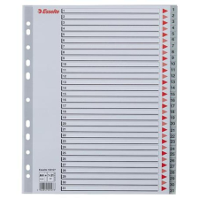 ESSELTE Regiszter, műanyag, A4 Maxi, 1-31, ESSELTE, szürke regiszter és tartozékai