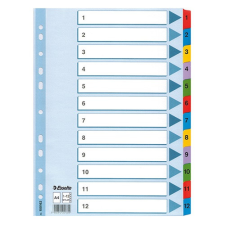 ESSELTE Regiszter Mylar Esselte A/4 1-12-ig 100162 regiszter és tartozékai