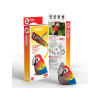 Eugy Papagáj 3D puzzle