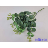  Eukaliptusz 16 ágú bokor 38cm - Hamvas