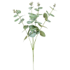  Eukaliptusz ág 4agú M48cm 48db/#