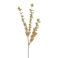  Eukaliptusz barna M82cm 150db/# dekorációs kellék
