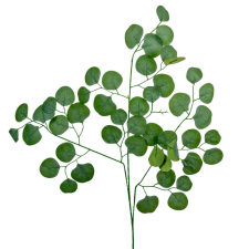  Eukaliptusz leveles ág M70cm dekorációs kellék