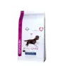 Eukanuba Adult Overweigt/Sterilised kutyatáp 2,3kg - NYÁRI ÁRZUHANÁS