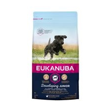 Eukanuba Junior Large 15kg kutyaeledel