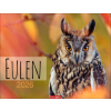  Eulen Kalender 2026 (Kalendář/Diář)