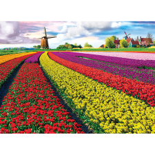 Eurographics Puzzle Eurographics 1000 db-os puzzle - Tulip Fields Netherlands - 6000-5326 puzzle, kirakós