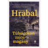 Európa Könyvkiadó Túlságosan zajos magány