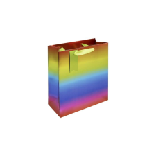 Eurowrap Ltd. Eurowrap ajándéktasak (21,5x25x10 cm) metál szivárványos (5) ajándéktasak