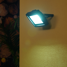 EverFlourish Hungary Kft. LED reflektor 50W 4250lm 6500K, antracit - Flare GAO 2707315010 kültéri világítás