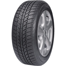 Evergreen EW62 88T TL 195/60 R15 88T Téli gumi téli gumiabroncs