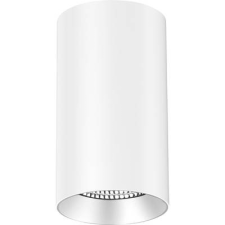 EVN AL20100102 EVN Lichttechnik LED-es mennyezeti lámpa 10 W Fehér (AL20100102) világítás