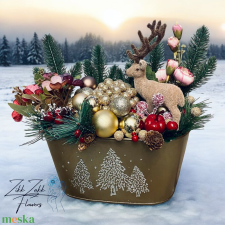 EX-BB Kiadó Karácsonyi Csillogás gyermek- és ifjúsági könyv