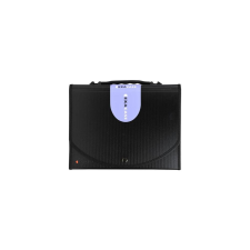 Exacompta Harmonikamappa, A4, PP, 13 rekeszes, EXACOMPTA "Exactive®", fekete mappa