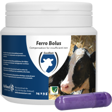 Excellent Ferro Bolus vashiány kezelésére, szarvasmarha borjúnevelés haszonállat felszerelés