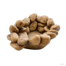Exo Terra Frog Pond / Pebble Water Dish | Vizestál kisállatfelszerelés