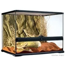  Exo-Terra Medium Wide Terrarium - Dekoratív kivitelű üvegterrárium (60x45x45cm) terrárium, vivárium