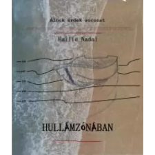 EZ-KÖNYV Hullámzónában egyéb e-könyv