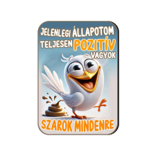 Fa hűtőmágnes, Jelenlegi állapotom, teljesen pozitív vagyok hűtőmágnes