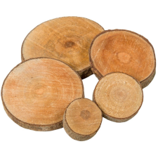  Fa szelet 1cm×3-9cm natúr 50dkg/csom dekorációs kellék