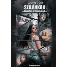 FairBooks Kiadó Szilánkok - Küzdelem az emlékekért - Első kötet regény