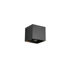  Fali lámpatest Reality Genie fekete R24169632 kültéri világítás