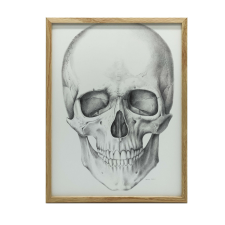 FALI PLAKÁT FEHÉR KERETBEN, ANATÓMIKUS KOPONYA 30x40 CM grafika, keretezett kép