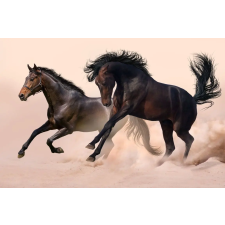  Falikép Két fekete ló, galopp, 300 x 200 cm grafika, keretezett kép