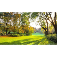  Falmatrica Ősz a parkban, 300 x 200 cm tapéta, díszléc és más dekoráció