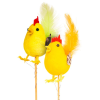 Family Húsvéti dekoráció, kakas, választható 2 féle kivitelből, leszúrható, 24 cm, CMK-7756