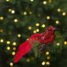 Family Karácsonyi dísz - csipeszes - glitteres madár - piros - 2 db / csomag karácsonyfadísz