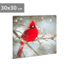 Family LED-es fali kép - vörös pinty - 30 x 30 cm