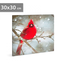 Family LED-es fali kép - vörös pinty - 30 x 30 cm karácsonyfadísz