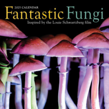 Fantastic Fungi Wall Calendar 2025 – Louie Schwartzberg naptár, kalendárium