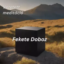  Fekete doboz egyéb e-könyv