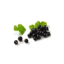 Feketeribizli olaj vitamin és táplálékkiegészítő