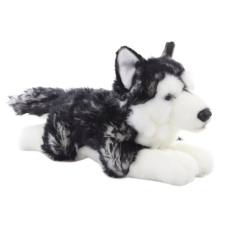 Fekvő plüss Husky 35 cm plüssfigura