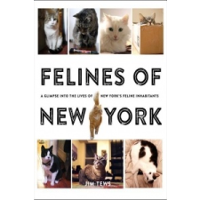  Felines of New York – Jim Tews idegen nyelvű könyv