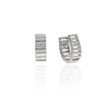 Fine Silver AG122743 - Ezüst bepattintós női fülbevaló pár fülbevaló