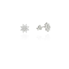 Fine Silver AG124539 - Ezüst beszúrós fülbevaló fülbevaló
