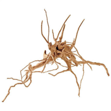 Finger wood - dekoráció (fagyökér) akváriumokba XL-es (40-50cm) akvárium dekoráció