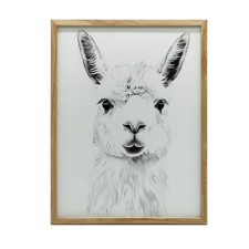 FINOM LAMA FALI PLAKÁT SÖTÉTBANA KERETBEN 70X100 CM grafika, keretezett kép