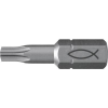 Fischer FPB T 20 PROFI Bit W 10 (557847) Bit készlet 10 részes (557847)